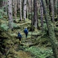 Top Hiking Trails in British Columbia: Explore the Best Outdoor Activities